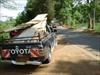 DSC01098.JPG