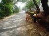 DSC03138.JPG