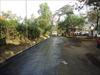 DSC03155.JPG