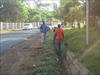 DSC03210.JPG