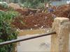 DSC01398.JPG